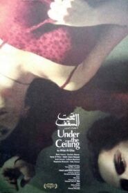 Under the Ceiling 2005 on netflix