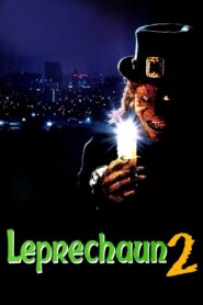 Leprechaun 2 1994 on netflix