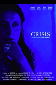 Crisis 2020 on netflix
