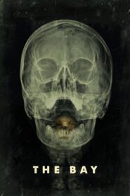 The Bay 2012 on netflix