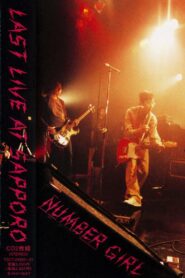 Number Girl: Sapporo Omoide In My Head Joutai 2003 on netflix