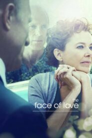 The Face of Love 2013 on netflix