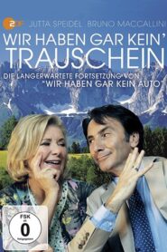 Wir haben gar kein’ Trauschein 2013 on netflix