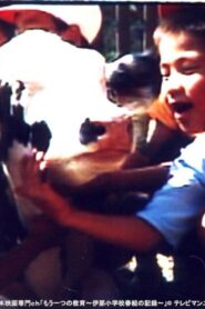 Lessons from a Calf 1991 on netflix
