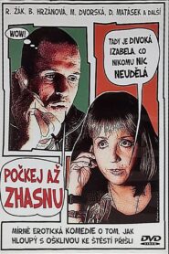 Počkej, až zhasnu 2002 on netflix