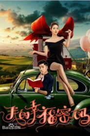 我的幸福密码 2017 on netflix