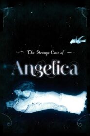 The Strange Case of Angelica 2010 on netflix