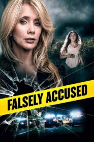 Falsely Accused 2016 on netflix