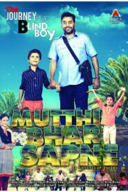 Mutthi Bhar Sapne 2013 on netflix