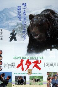 The Forest of the Little Bear 1987 on netflix