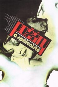 Požáry a spáleniště 1981 on netflix