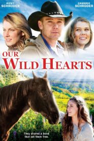 Our Wild Hearts 2013 on netflix