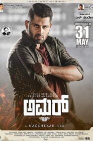 Amar 2019 on netflix