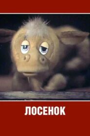 Losyonok 1984 on netflix