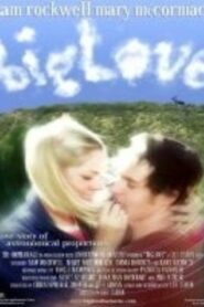 BigLove 2001 on netflix