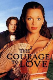 The Courage to Love 2000 on netflix