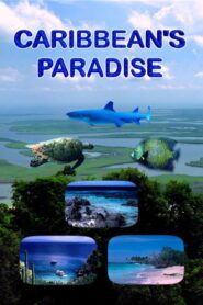 Caribbean’s Paradise 2010 on netflix