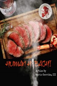 Human Hibachi 2020 on netflix