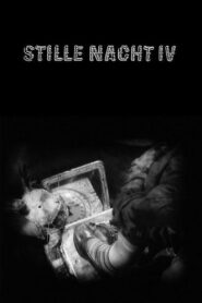 Stille Nacht IV: Can’t Go Wrong Without You 1993 on netflix