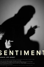 Sentiment 2003 on netflix