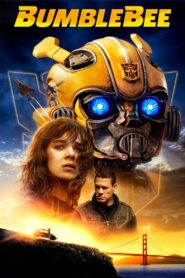 Bumblebee 2018 on netflix