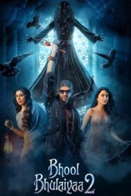 Bhool Bhulaiyaa 2 2022 on netflix