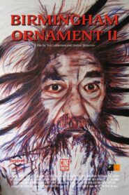 Birmingham Ornament 2 2013 on netflix