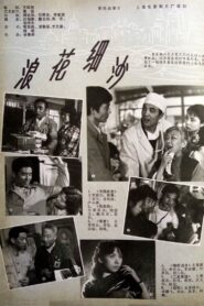 浪花细沙 1983 on netflix