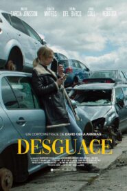 Desguace 2022 on netflix