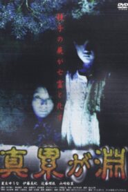 Shin Kasanegabuchi 2000 on netflix