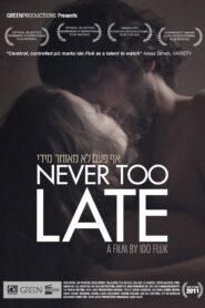 Never Too Late 2011 on netflix