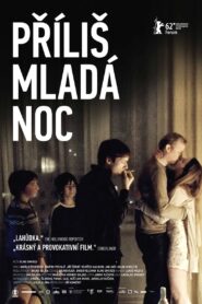 A Night Too Young 2012 on netflix