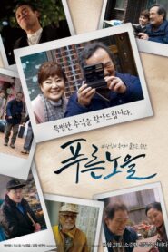 Magic hour 2017 on netflix