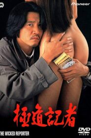 The Wicked Reporter 1993 on netflix