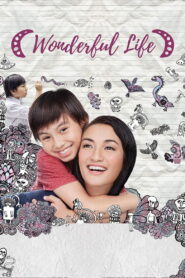 Wonderful Life 2016 on netflix