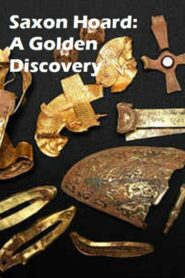 Saxon Hoard: A Golden Discovery 2012 on netflix