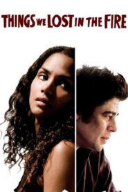 Things We Lost in the Fire 2007 on netflix