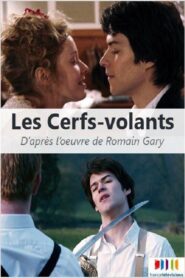 Les Cerfs-volants 2007 on netflix