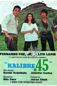 Kalibre .45 1980 on netflix