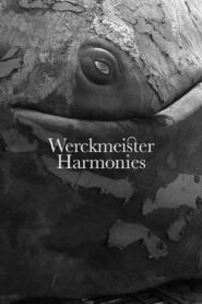 Werckmeister Harmonies 2001 on netflix