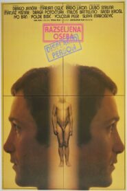 Displaced Person 1982 on netflix