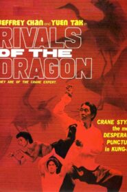 Rivals of the Dragon 1980 on netflix