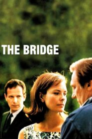 The Bridge 1999 on netflix