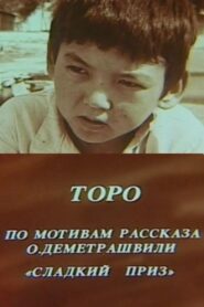 Toro 1986 on netflix