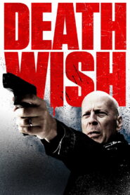 Death Wish 2018 on netflix