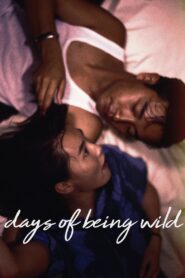 Days of Being Wild 1990 on netflix