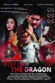 Fist of the Dragon 2014 on netflix