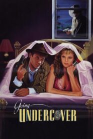 Going Undercover 1988 on netflix