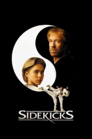 Sidekicks 1992 on netflix