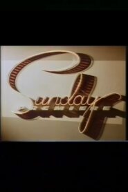 Love Match 1986 on netflix